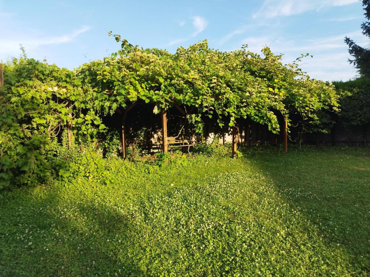 River Side - Cosy - Lot Of Space Huningue Exterior foto